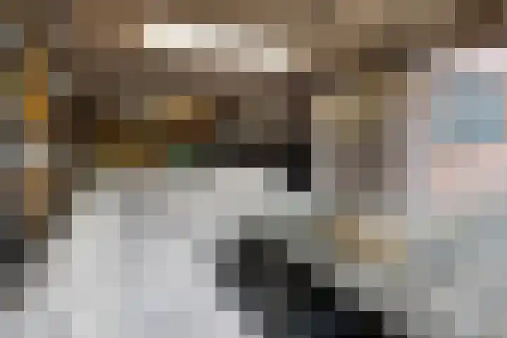 Linnenstraat 1 Dinteloord thumbnail 57