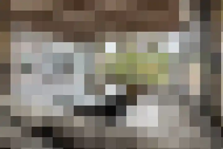Linnenstraat 1 Dinteloord thumbnail 58