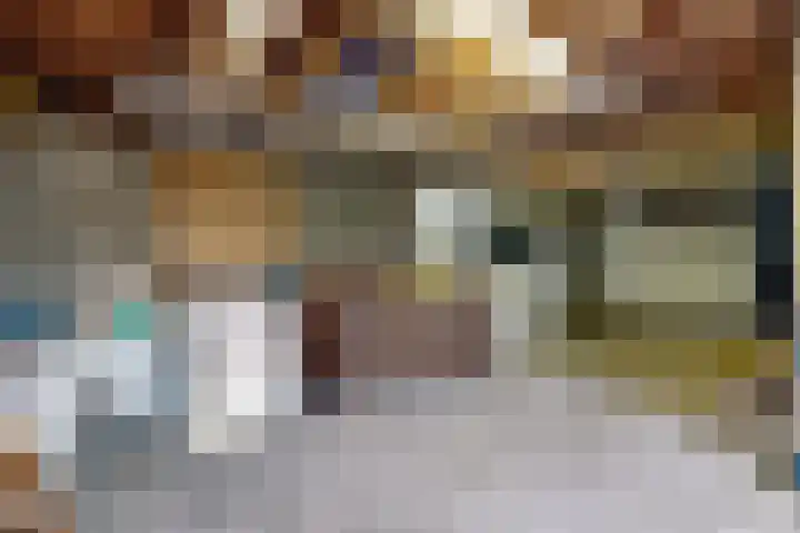 Linnenstraat 1 Dinteloord thumbnail 59
