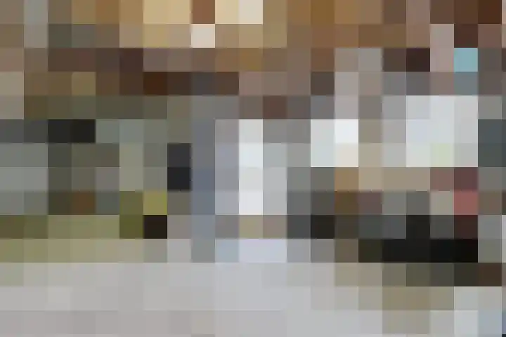 Linnenstraat 1 Dinteloord thumbnail 60