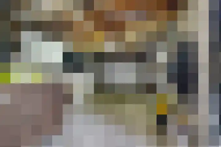 Linnenstraat 1 Dinteloord thumbnail 62