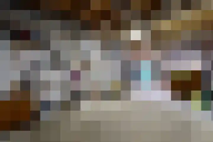 Linnenstraat 1 Dinteloord thumbnail 63