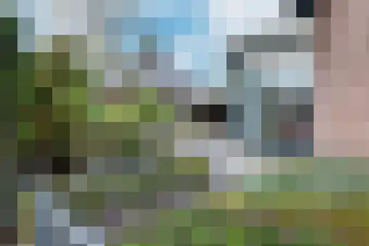 Linnenstraat 1 Dinteloord thumbnail 67