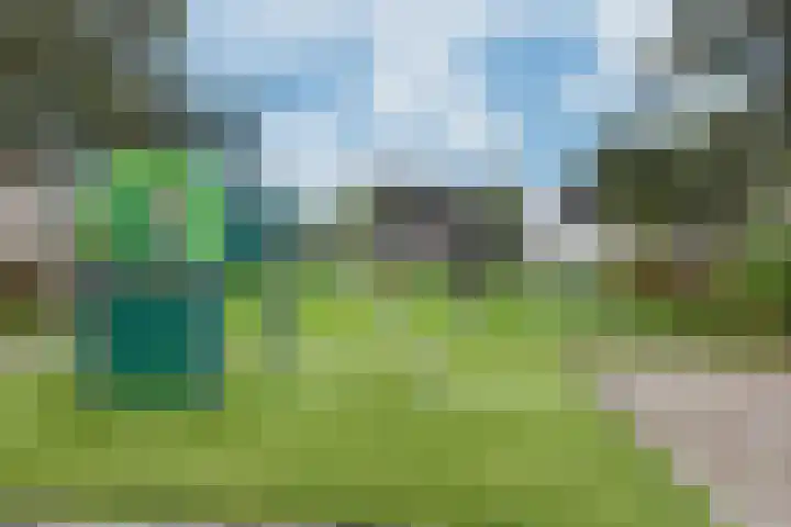 Linnenstraat 1 Dinteloord thumbnail 69