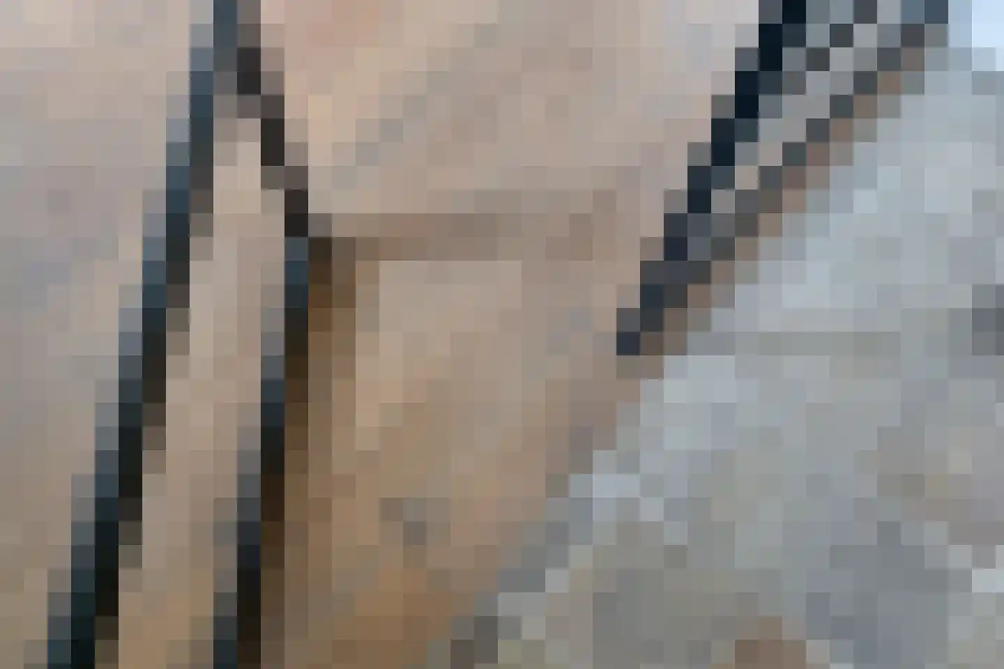 Linnenstraat 32 Zeeland thumbnail 23