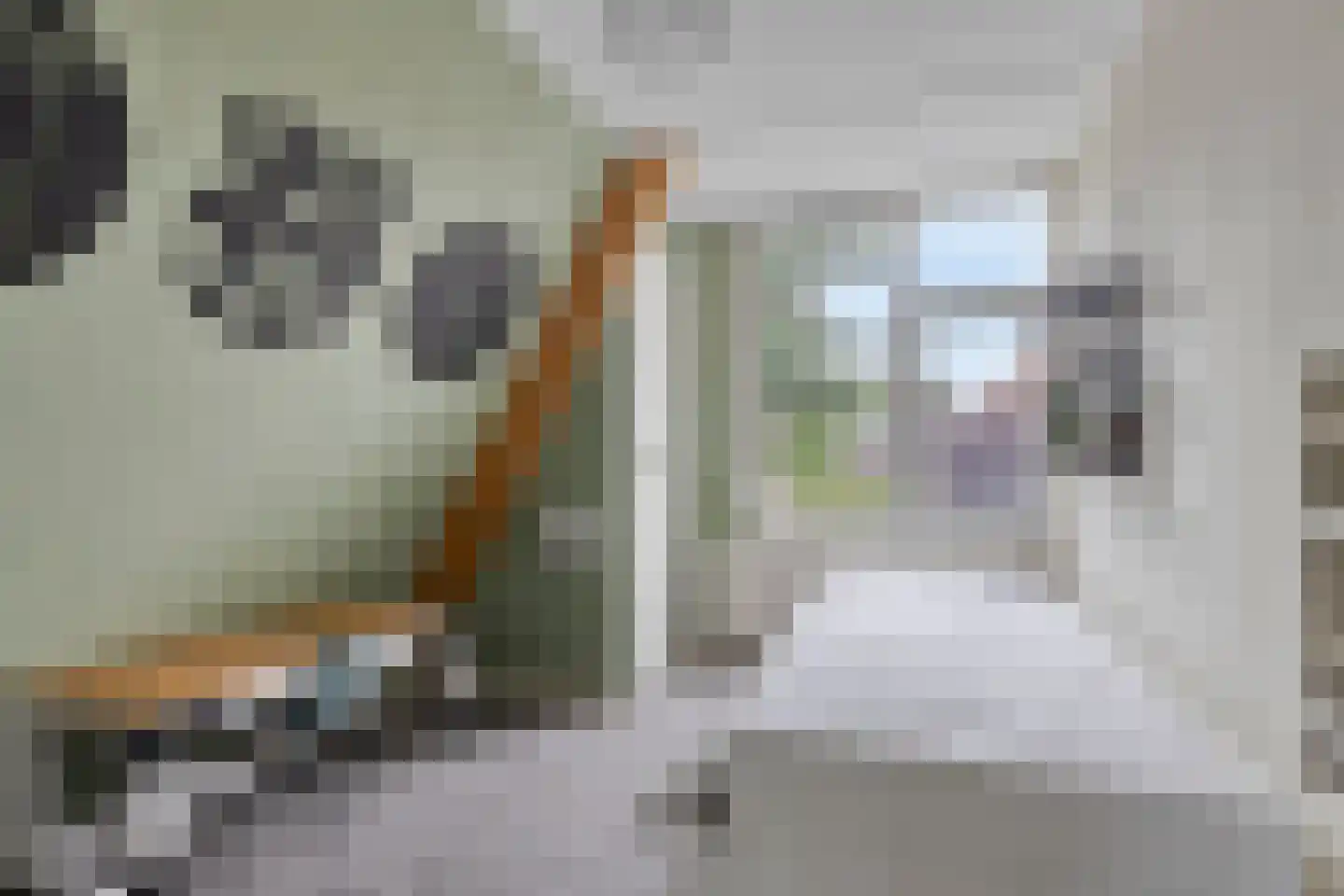 Linnenstraat 32 Zeeland thumbnail 41