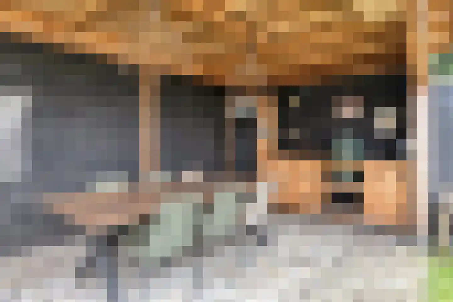 Linnenstraat 32 Zeeland thumbnail 49