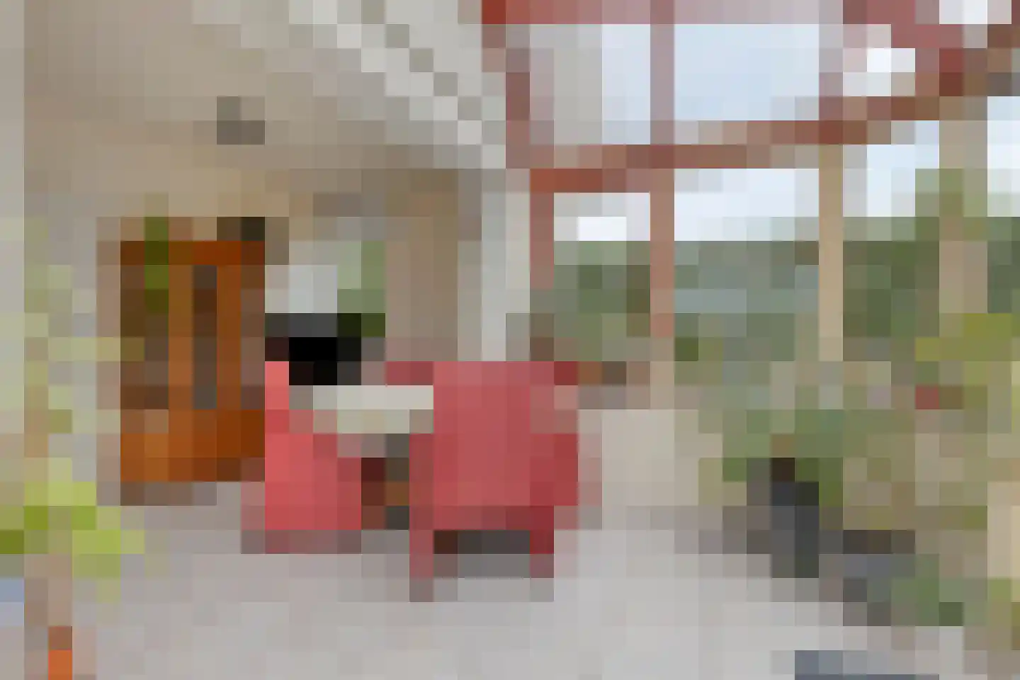 Linnenstraat 5 Dinteloord thumbnail 33