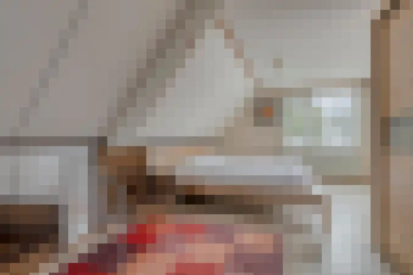 Linnenstraat 5 Dinteloord thumbnail 40