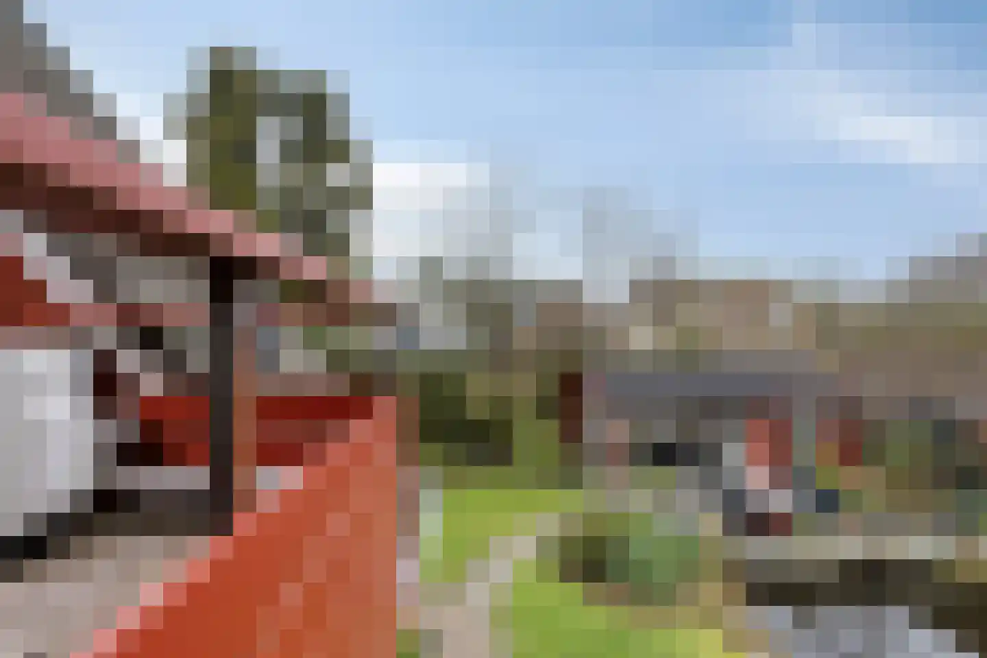 Linnenstraat 5 Dinteloord thumbnail 45