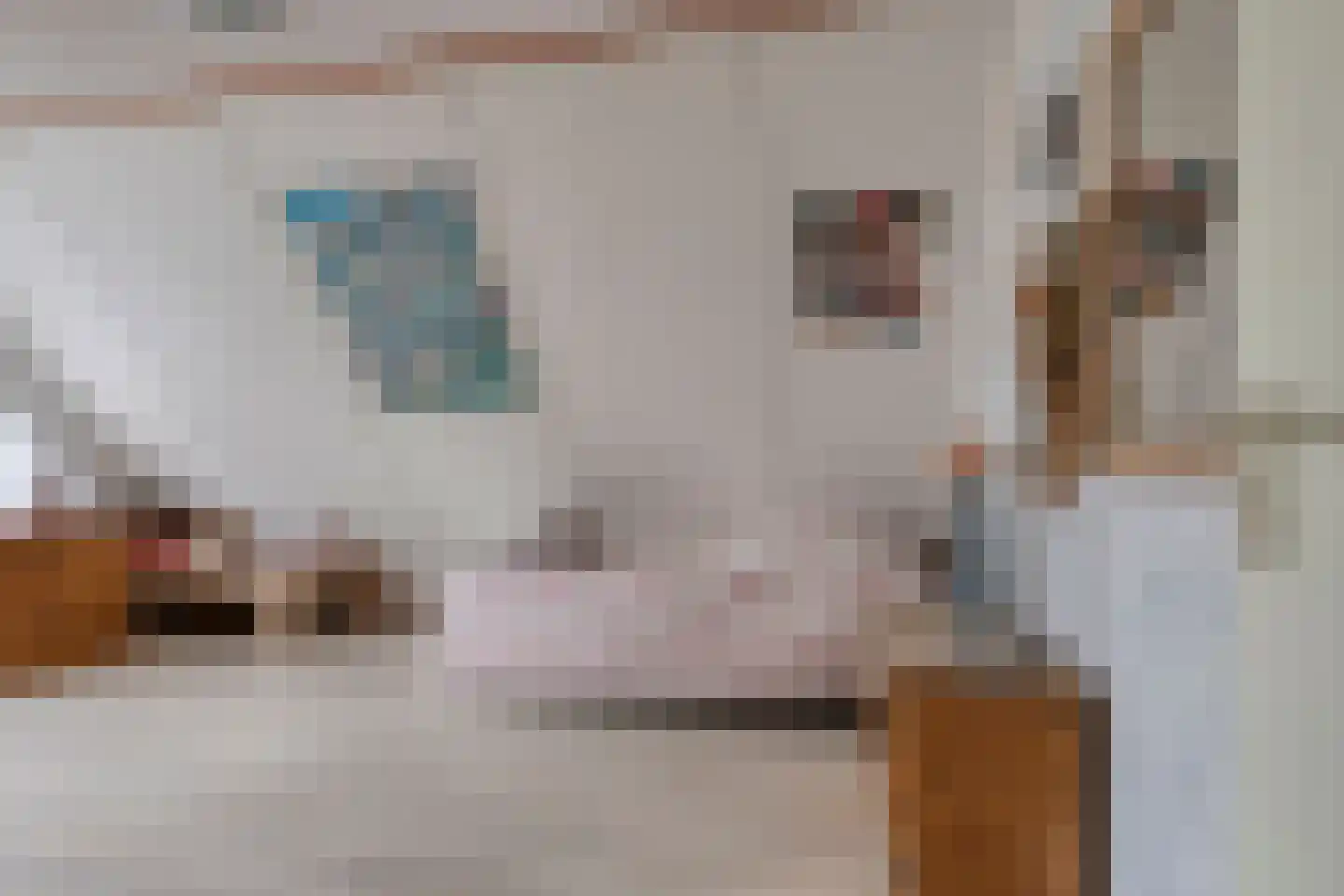 Linnenstraat 5 Dinteloord thumbnail 49