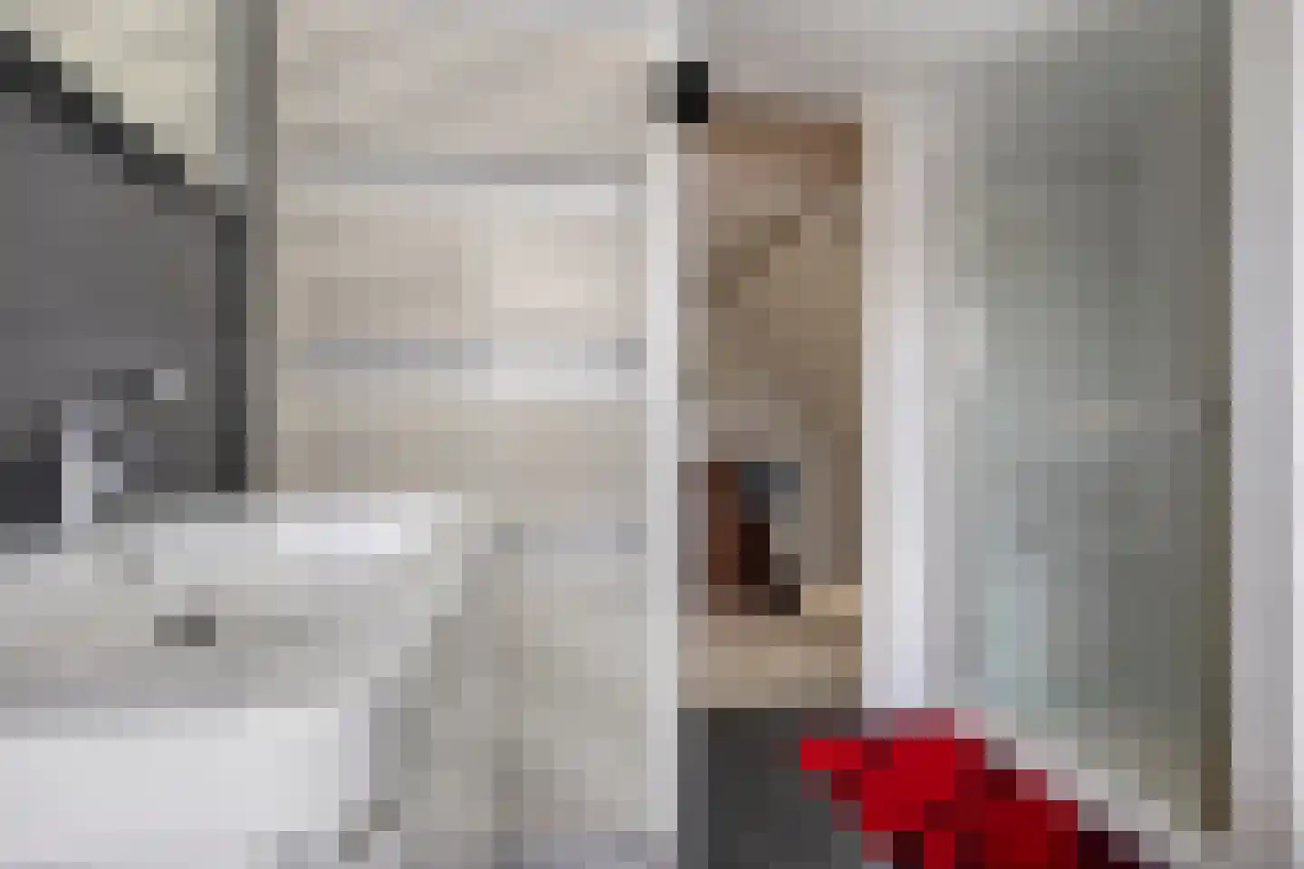 Linnenstraat 5 Dinteloord thumbnail 59