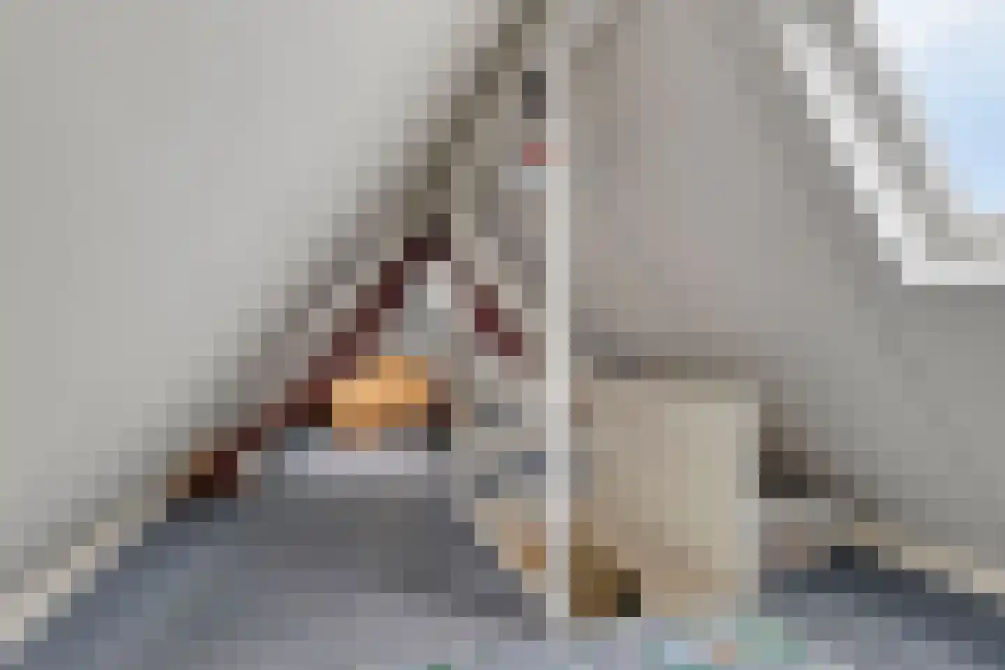 Linnenstraat 5 Dinteloord thumbnail 64