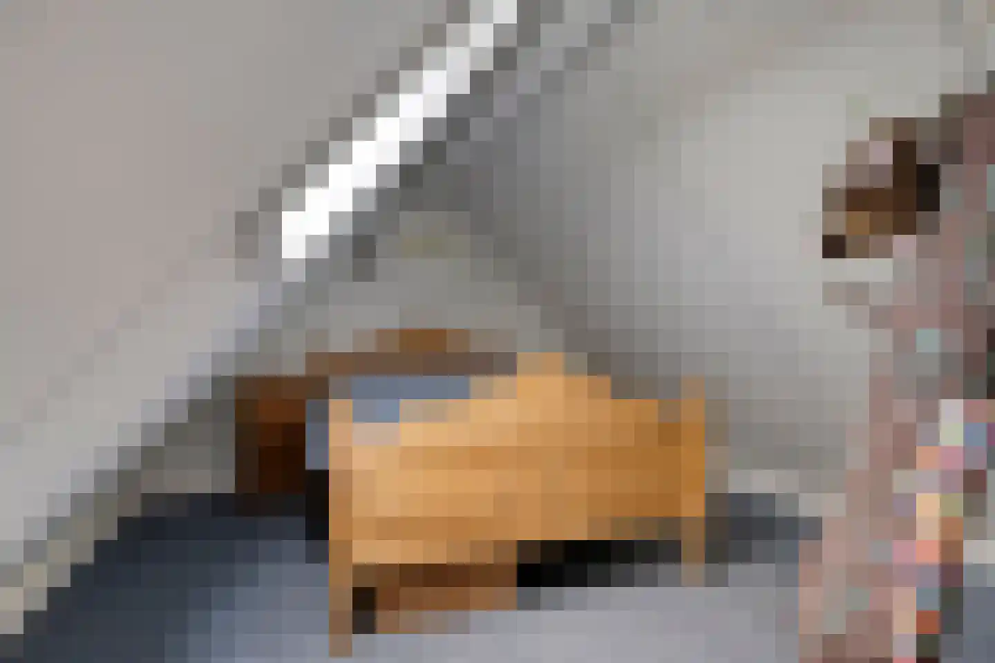 Linnenstraat 5 Dinteloord thumbnail 66