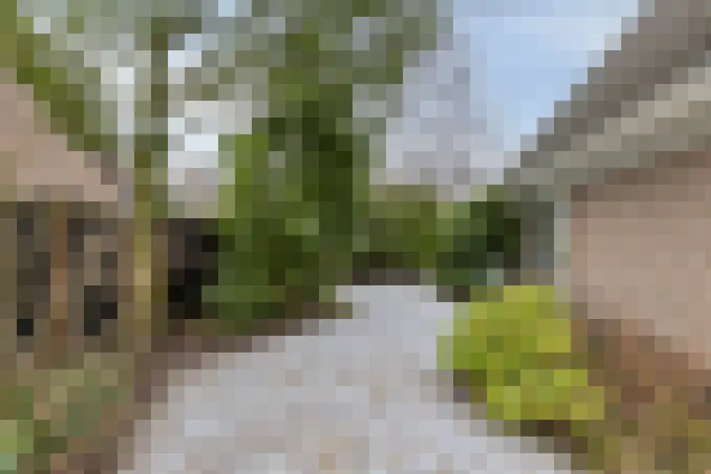 Linnenstraat 5 Dinteloord thumbnail 79