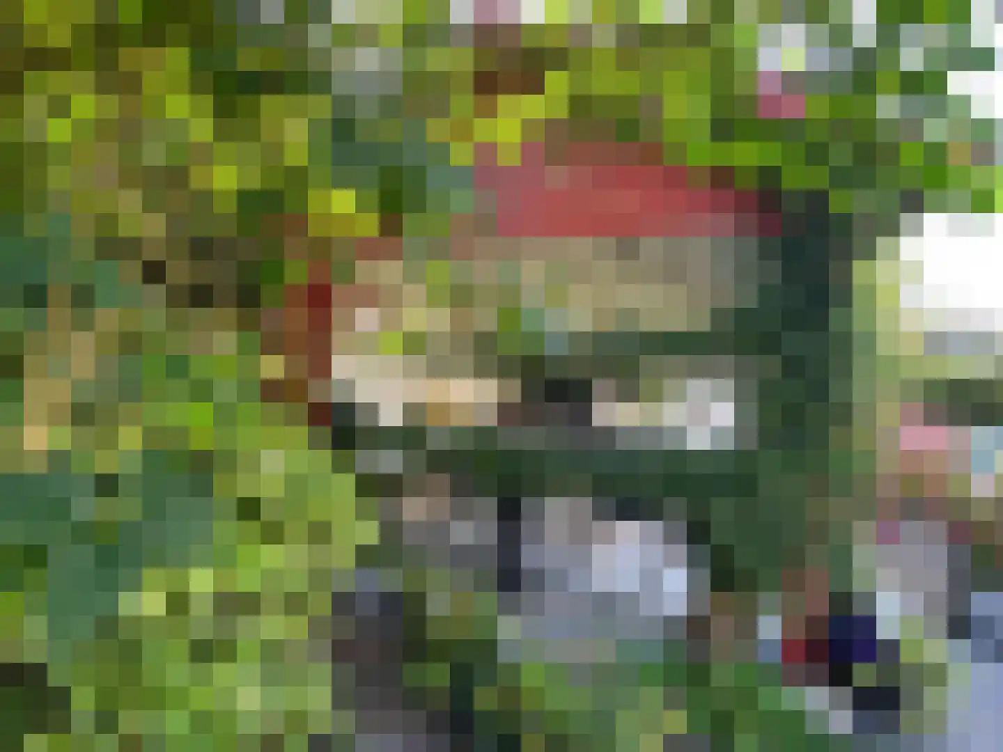 Linnenstraat 5 Dinteloord thumbnail 87