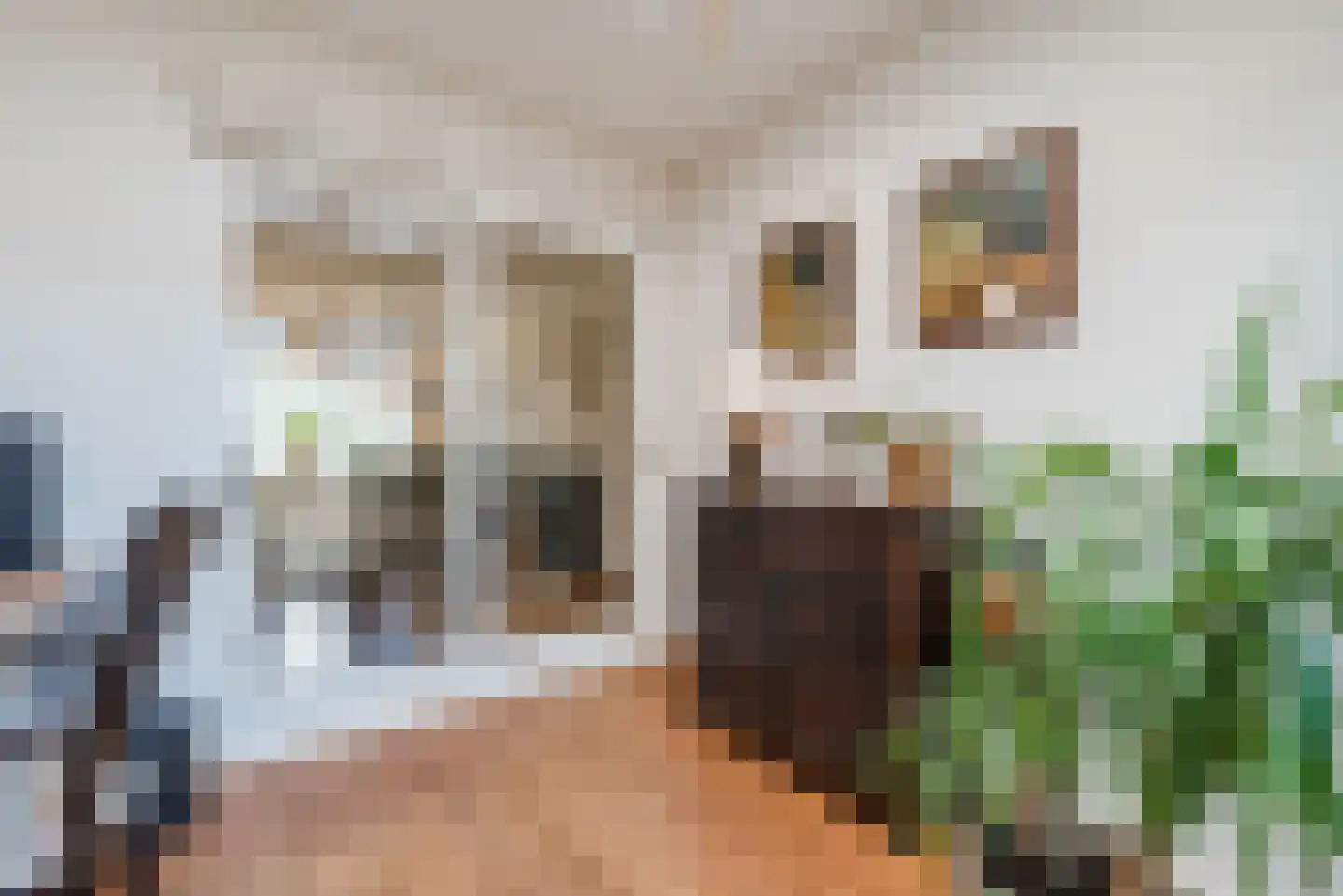 Linnenstraat 7 Geldrop thumbnail 10