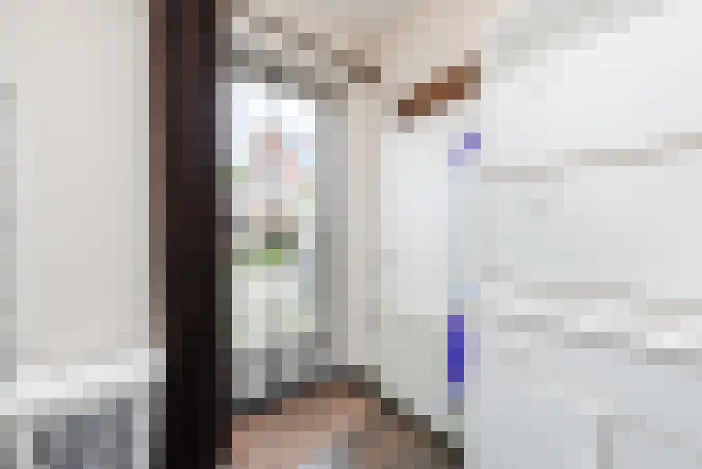 Linnenstraat 7 Geldrop thumbnail 18