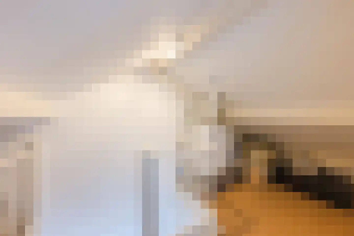 Linnenstraat 7 Geldrop thumbnail 29