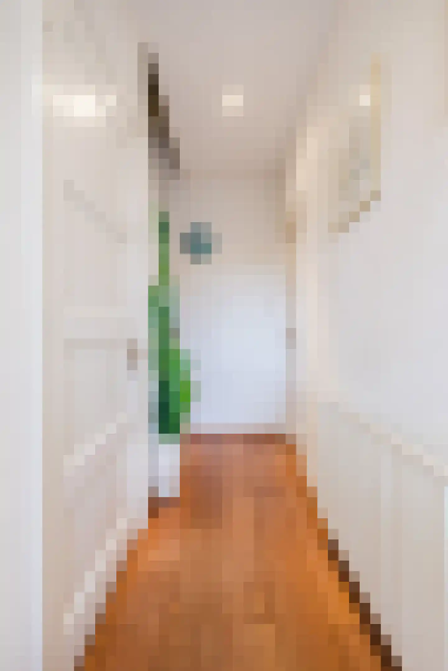 Linnenstraat 7 Geldrop thumbnail 4