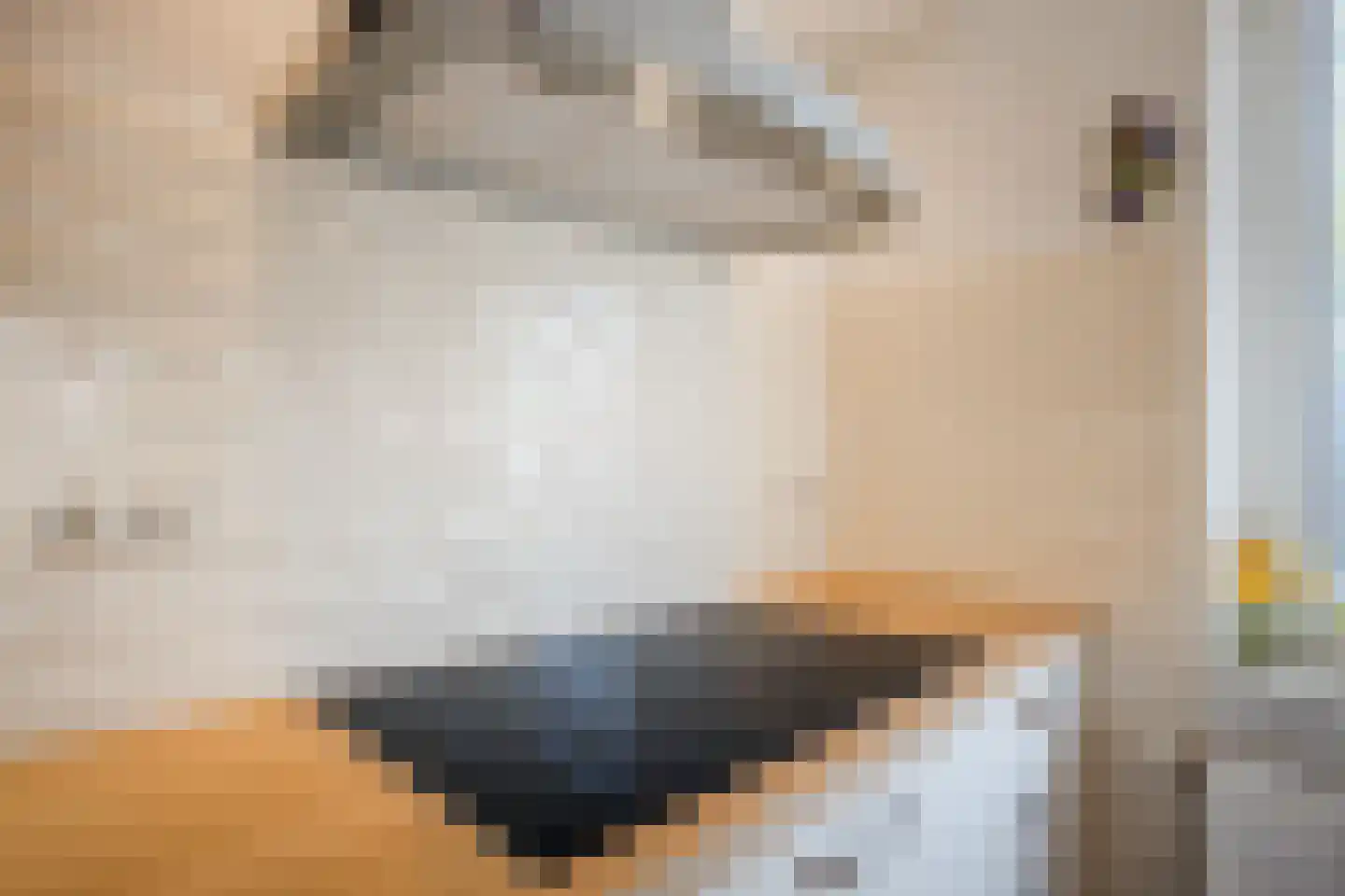 Linnenwever 23 Groenlo thumbnail 17