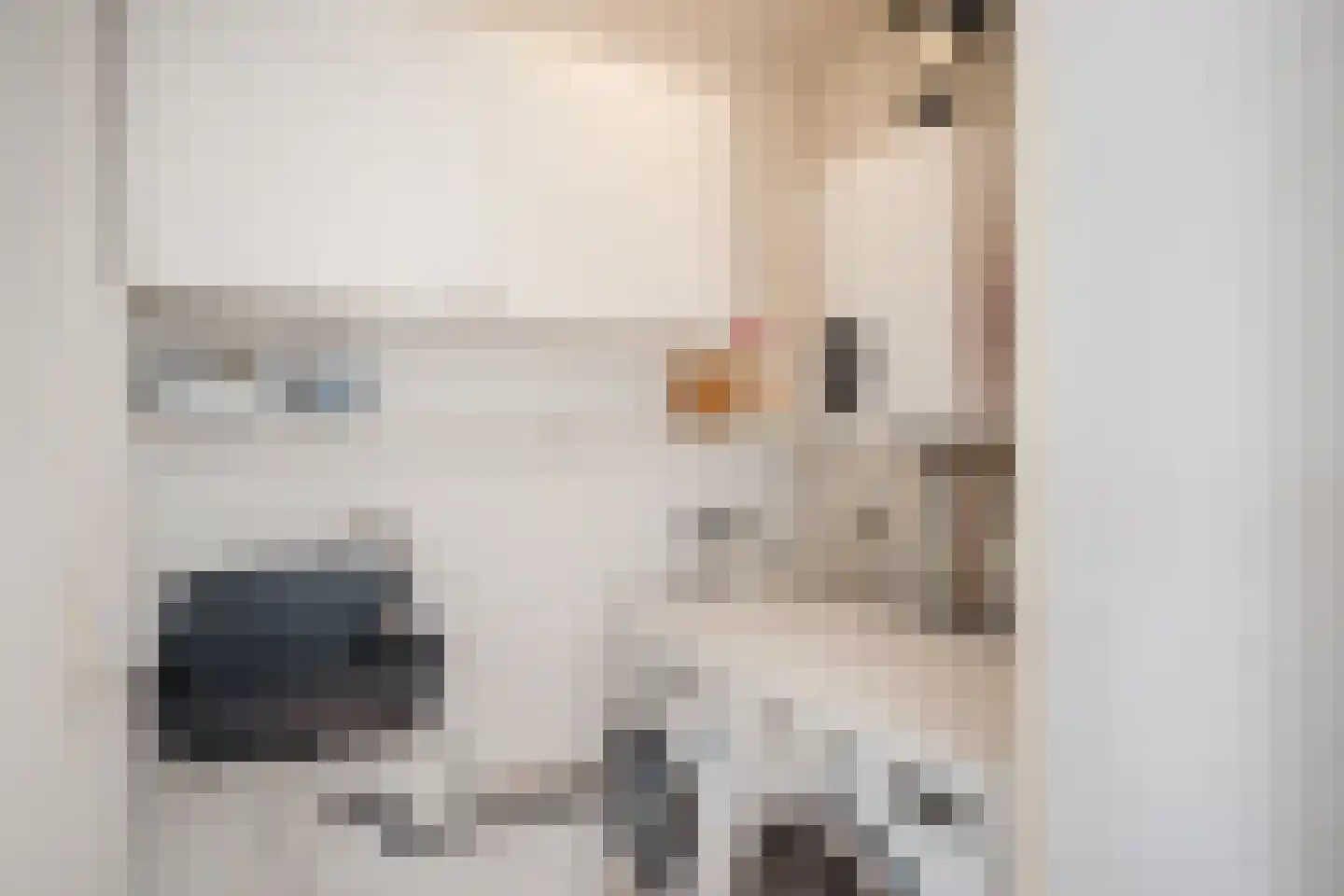 Linnenwever 23 Groenlo thumbnail 26