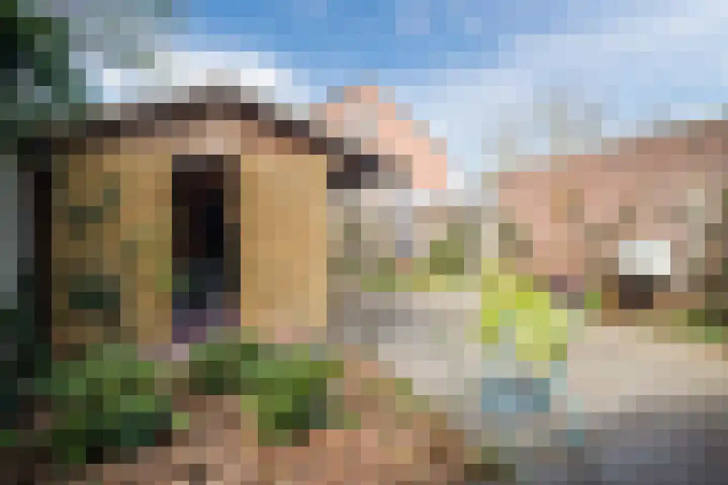 Linnenwever 23 Groenlo thumbnail 35