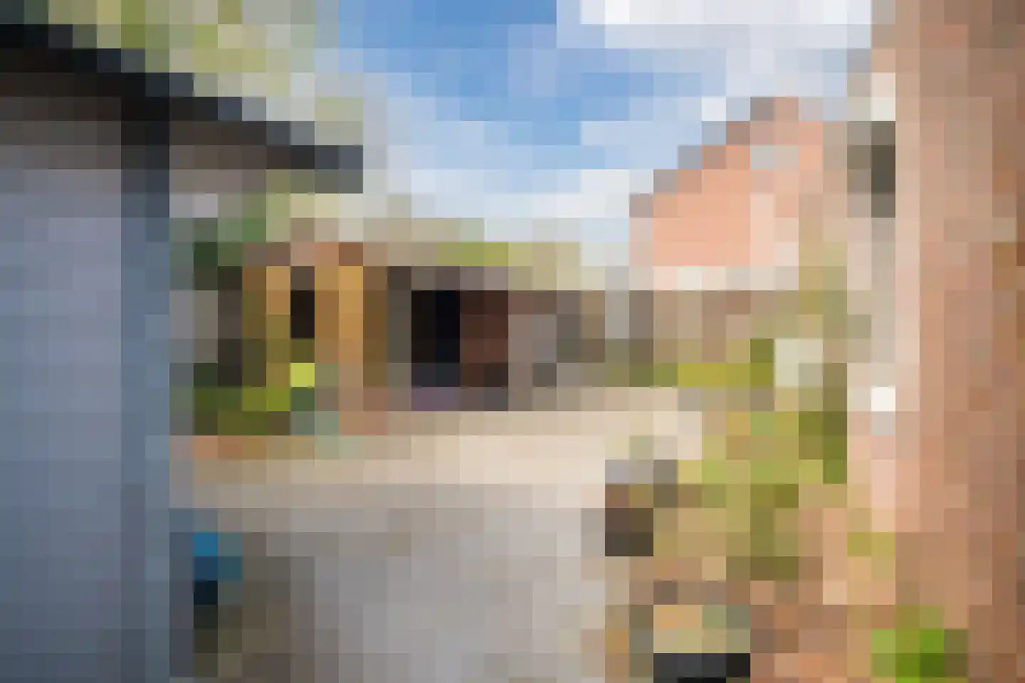 Linnenwever 23 Groenlo thumbnail 6