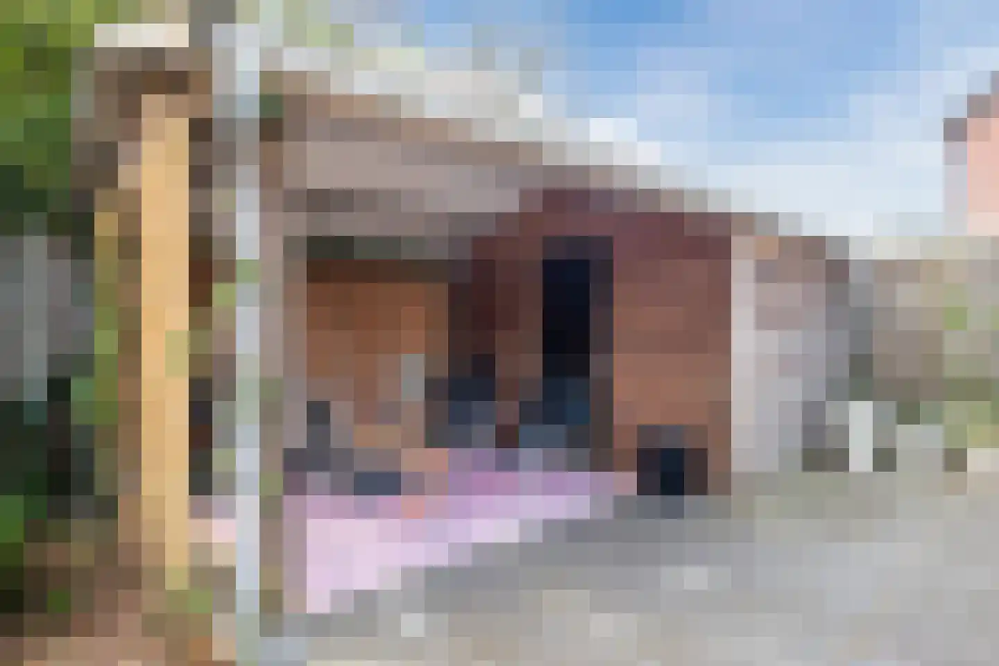 Linnenwever 23 Groenlo thumbnail 7