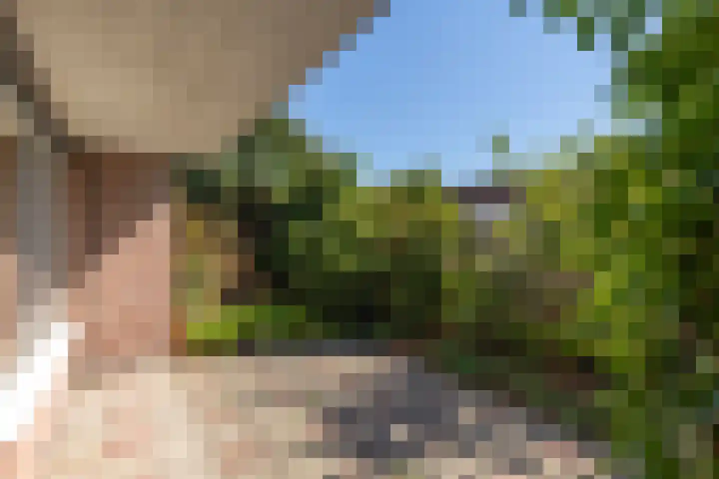 Linnenwever 7 Groenlo thumbnail 25