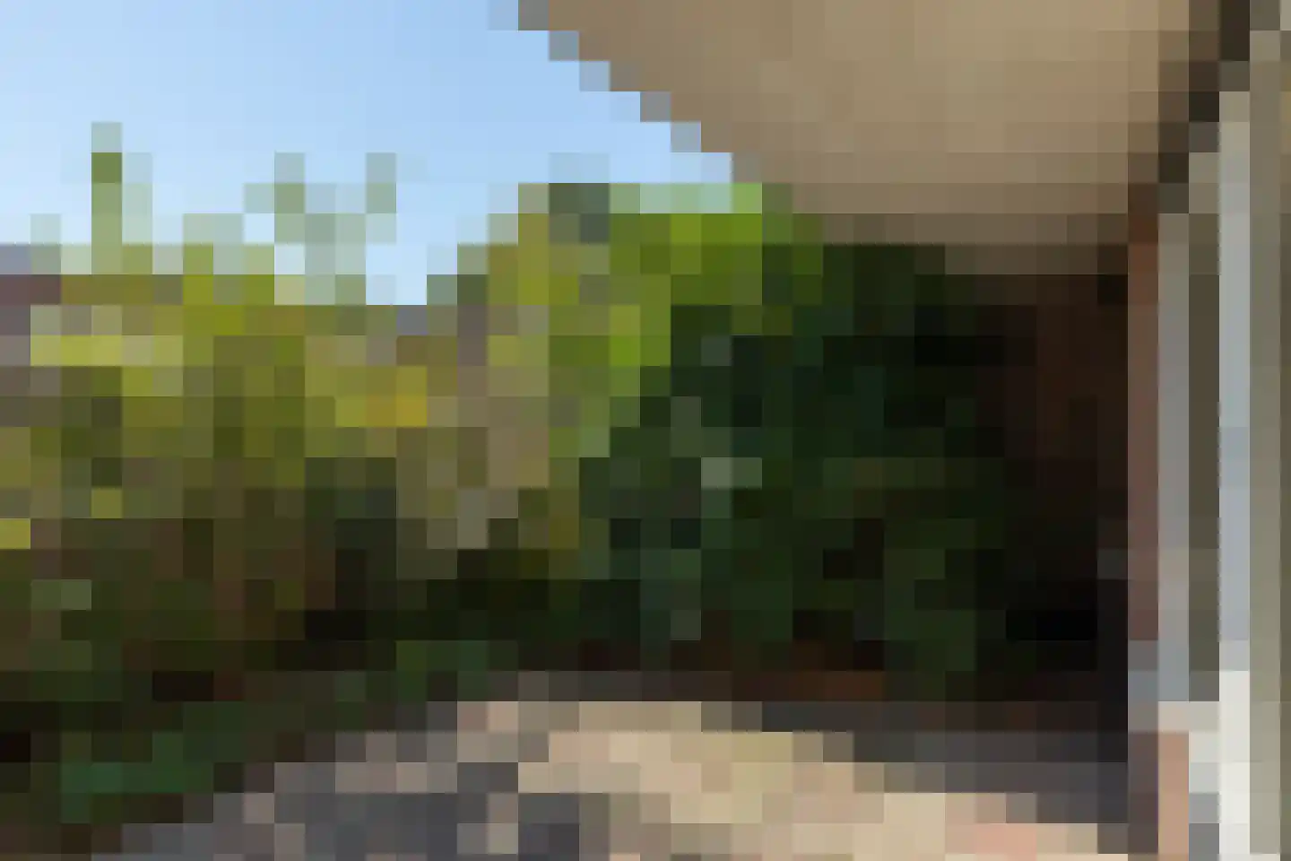 Linnenwever 7 Groenlo thumbnail 26