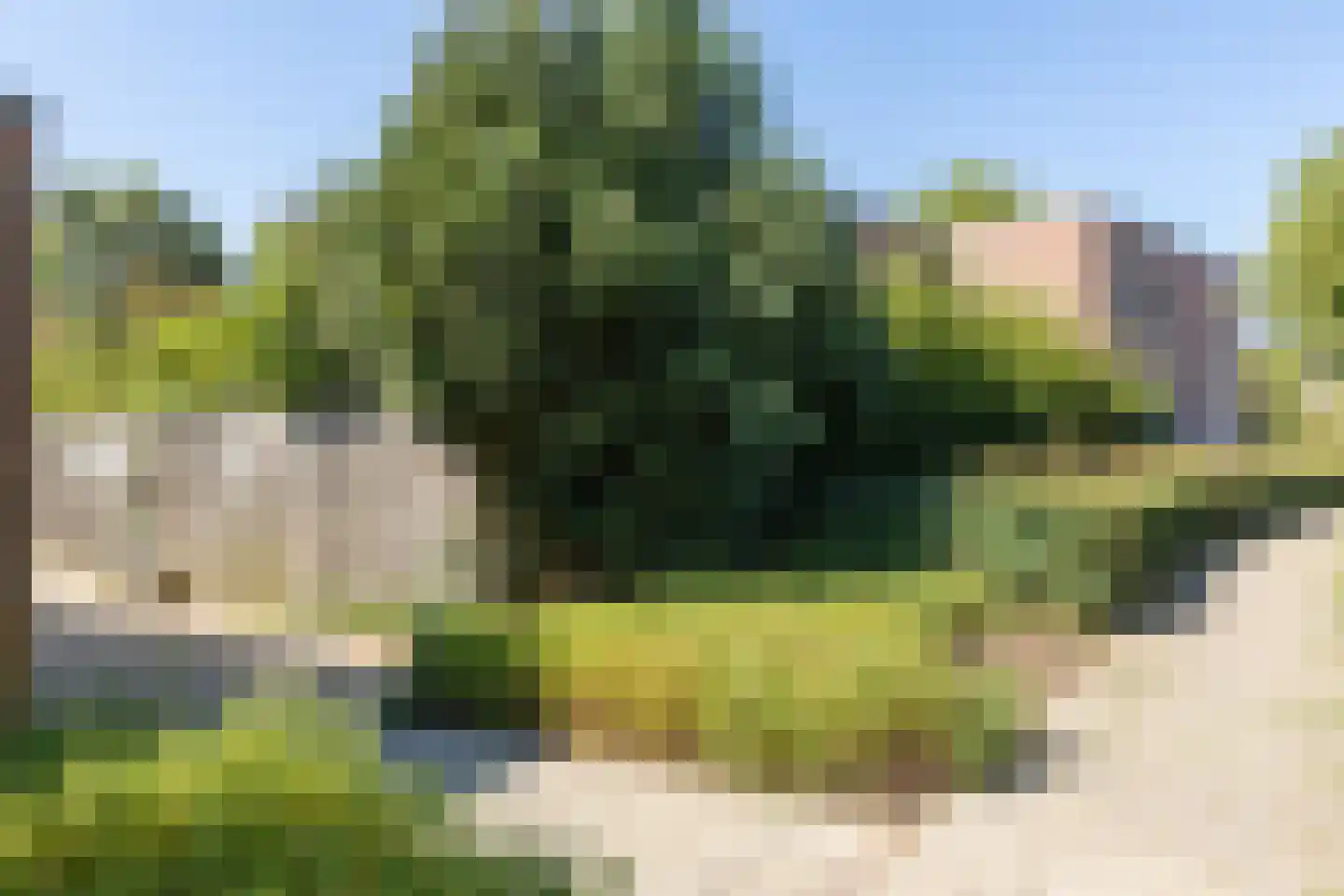 Linnenwever 7 Groenlo thumbnail 28