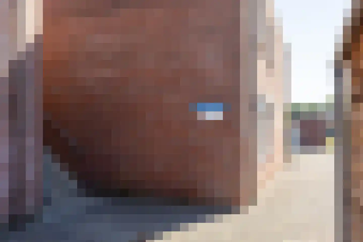 Linnenwever 7 Groenlo thumbnail 30