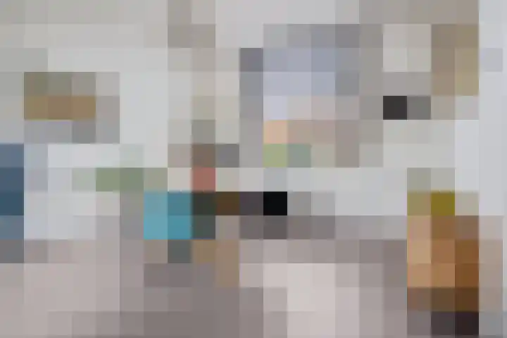 Linnenweversgilde 12 Hasselt thumbnail 12