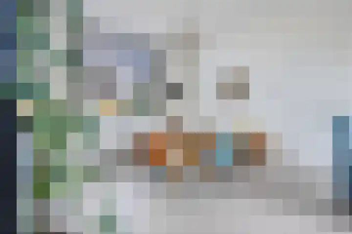 Linnenweversgilde 12 Hasselt thumbnail 13