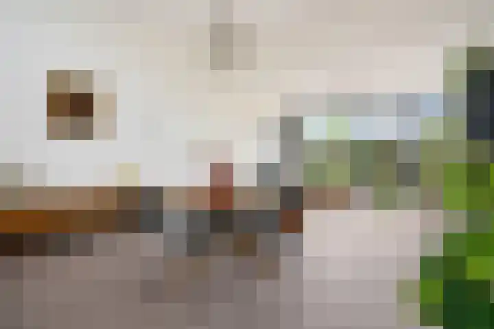 Linnenweversgilde 12 Hasselt thumbnail 15
