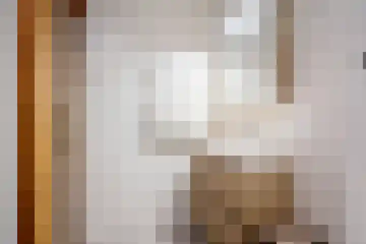 Linnenweversgilde 12 Hasselt thumbnail 23