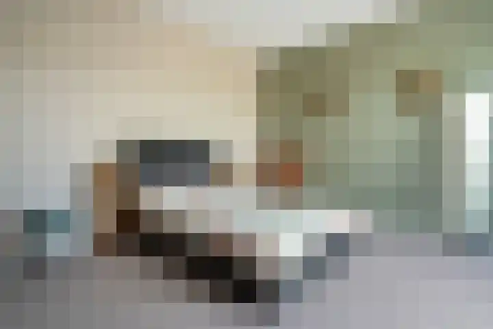 Linnenweversgilde 12 Hasselt thumbnail 28