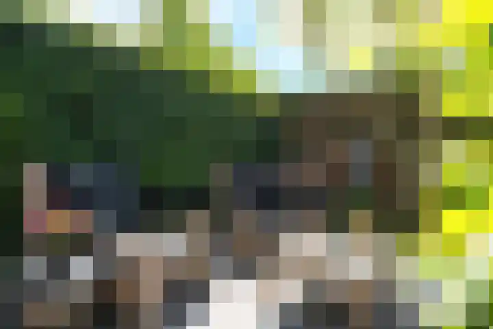Linnenweversgilde 12 Hasselt thumbnail 34