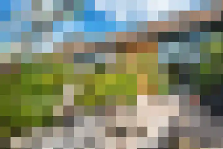 Linnenweversgilde 12 Hasselt thumbnail 35