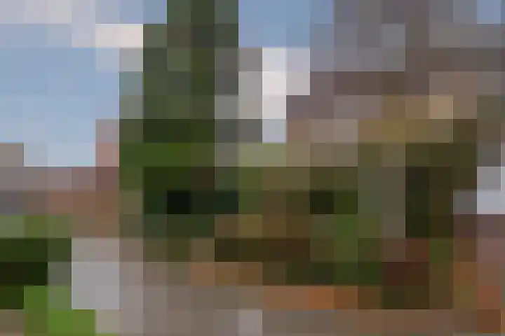 Linnenweverspad 1 Tegelen thumbnail 20