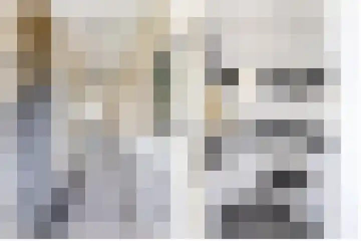 Linnenweverspad 22 Tegelen thumbnail 10