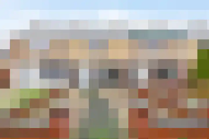 Linnenweverspad 22 Tegelen thumbnail 23
