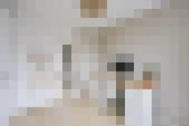 Linnenweverstraat 10 Zwolle thumbnail 18