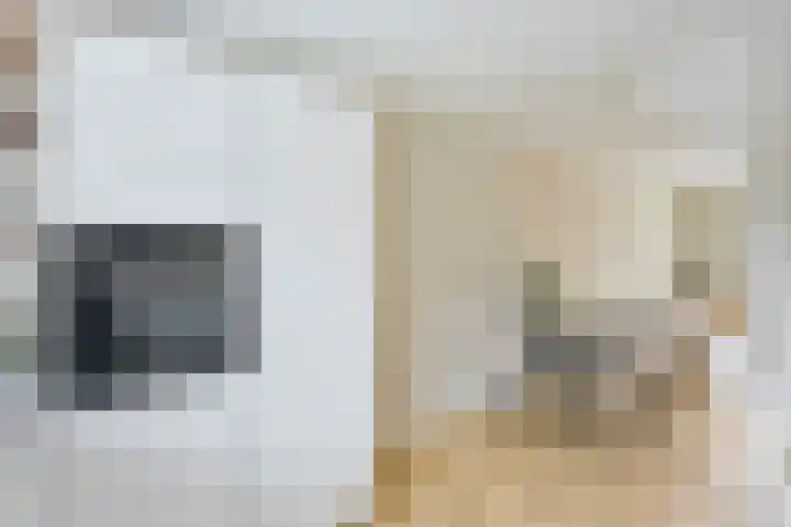 Linnenweverstraat 10 Zwolle thumbnail 7