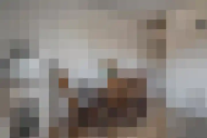 Linnenweverstraat 12 Zwolle thumbnail 13