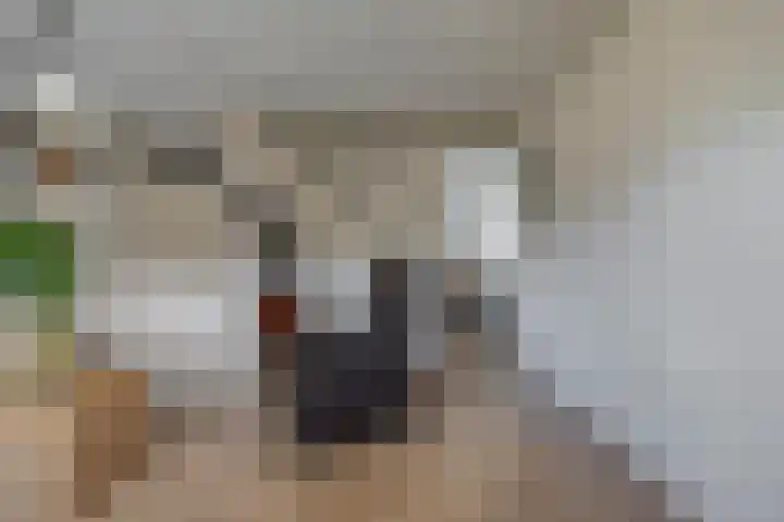 Linnenweverstraat 12 Zwolle thumbnail 9