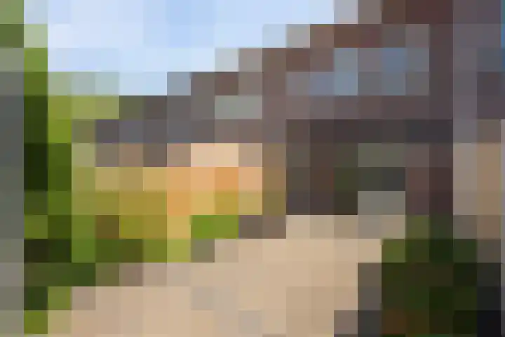 Linnenweverstraat 16 Zwolle thumbnail 19