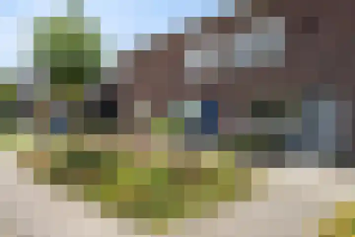 Linnenweverstraat 16 Zwolle thumbnail 25
