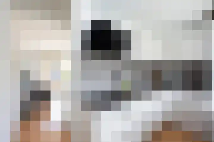 Linnenweverstraat 16 Zwolle thumbnail 9
